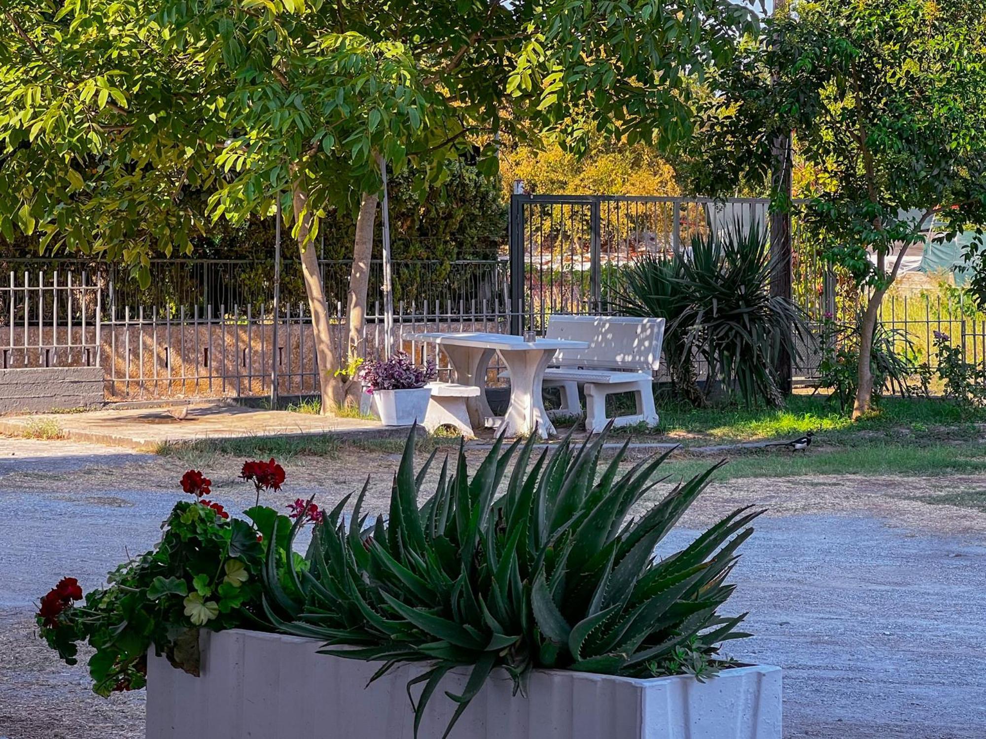 Prado Apartment Hotel Limin Litochorou 외부 사진